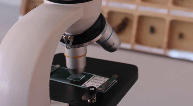 Inicia operaciones el nuevo Laboratorio de Biología Molecular