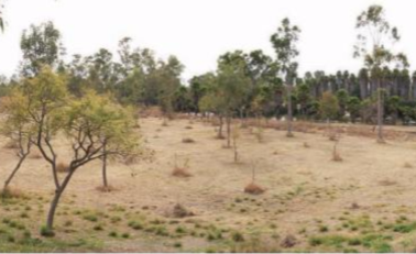 Piden ambientalistas cancelación de recarga artificial de acuíferos