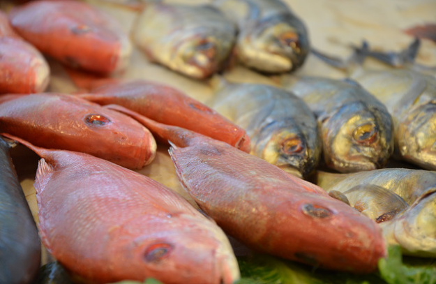 Vigilarán los productos de mar que expenden ambulantes durante la cuaresma