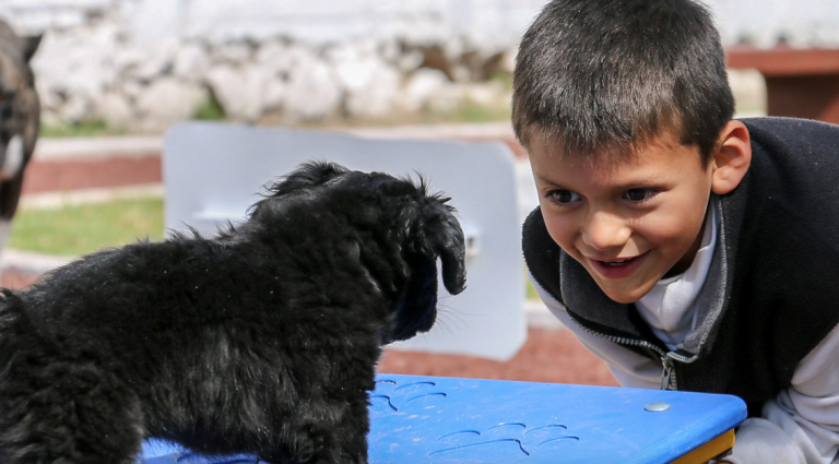 Empadronamiento de mascotas fomenta el respeto a los animales de compañía