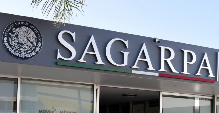 Sagarpa ha sido omisa en la detección de clembuterol en rastros