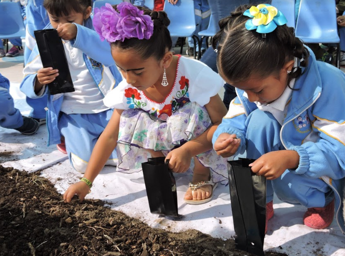 Promueven el autoconsumo mediante huertos familiares