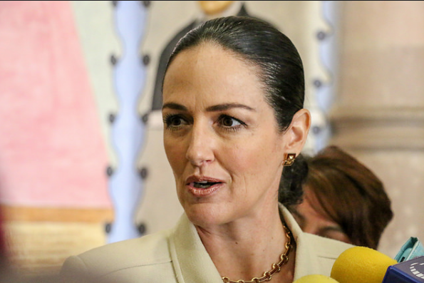 No hay que alarmar a la población ante la influenza