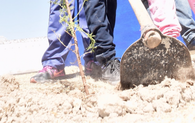 Realizan programa de limpieza en El Taray