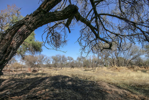 Sigue en pie intención de fraccionar dos terceras partes de La Pona