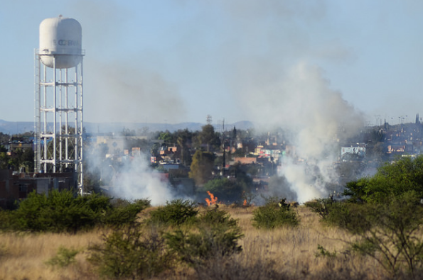 Duro golpe al medio ambiente