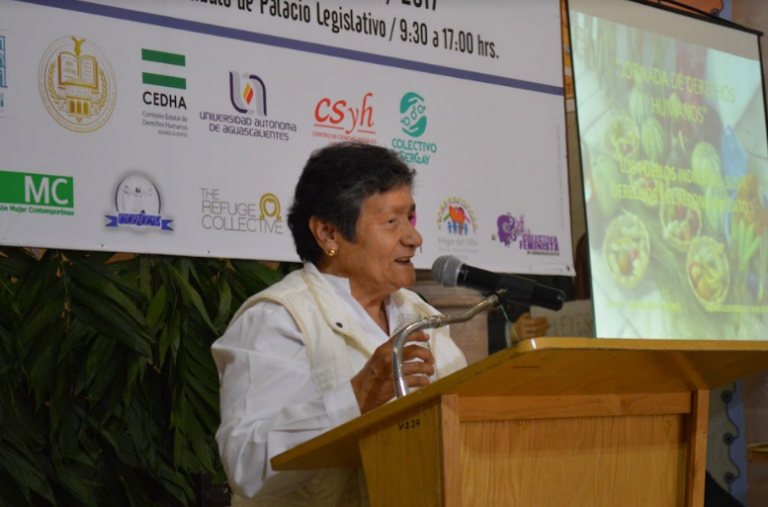 Defensoría pública electoral, institución que atiende a las poblaciones indígenas