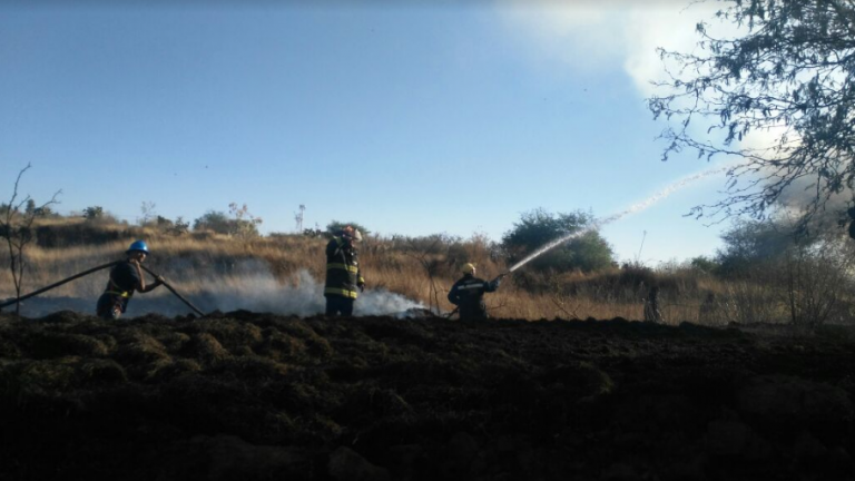 Cerca de 170 hectáreas fueron siniestradas por el rumbo de la Sierra Fría