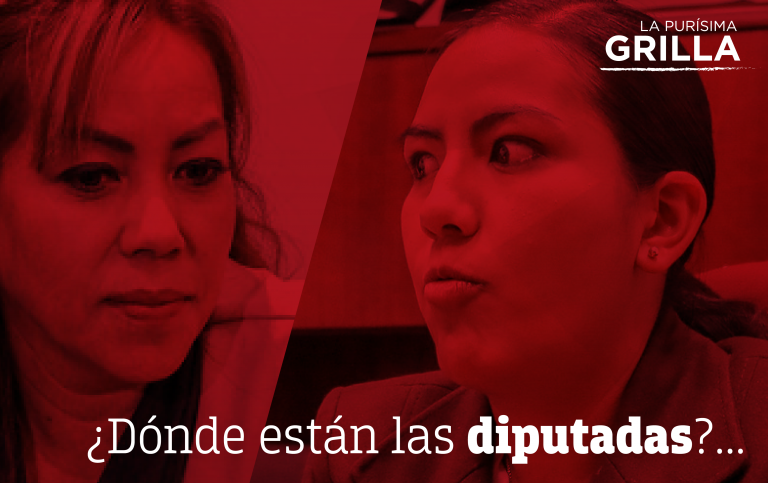 Every man wants to be a macho macho man / La Purísima… Grilla