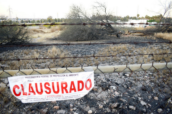 Podría Profepa cancelar la construcción de Outlet