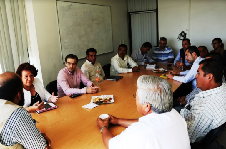 Inspeccionarán puntos de venta de animales de compañía