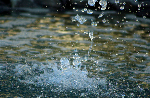 Analizan la problemática sobre la sustentabilidad del agua en el estado