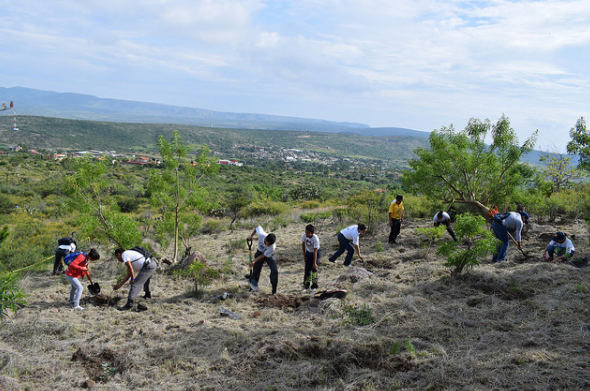 Realizan actividades para el cuidado del medio ambiente