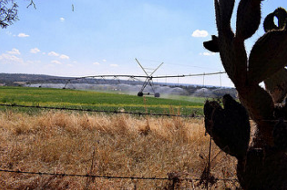 Realizan estudios para lograr que pequeños productores sean más eficientes con consumo de agua