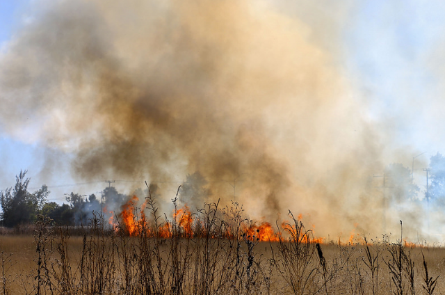 Incendios consumen 24 hectáreas de áreas naturales protegidas