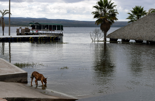 Distintas dependencias trabajan en caso de la presa Calles