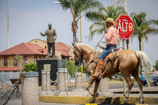 Expo Ganadera inició actividades con exposición y campeonato de caballos
