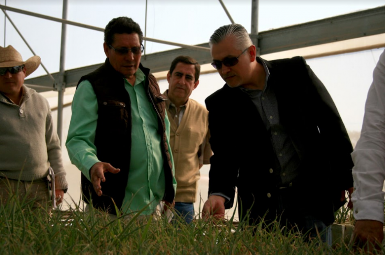 Supervisión a viveros estatales