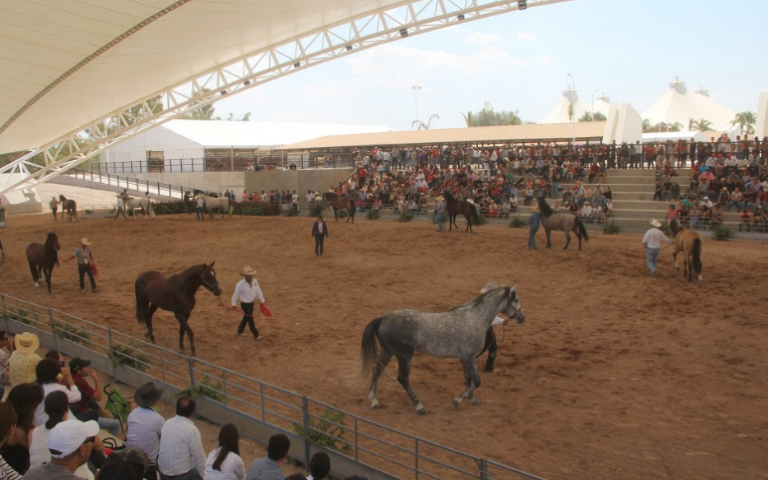 Tercer Campeonato Internacional de Caballos de la Raza Azteca