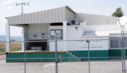 Busca Sedrae colocar en Liconsa e iniciativa privada sobreproducción lechera