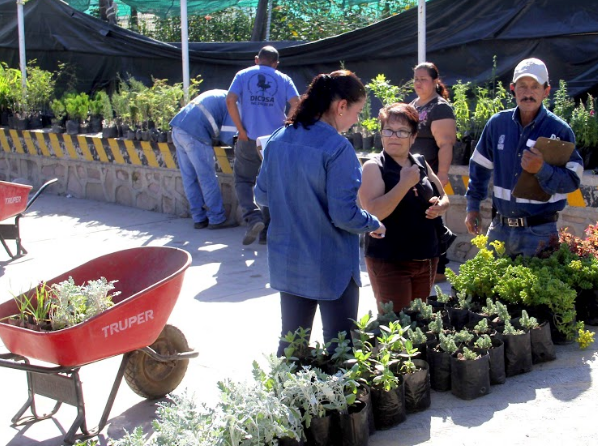 Inicia programa anual de donación de plantas