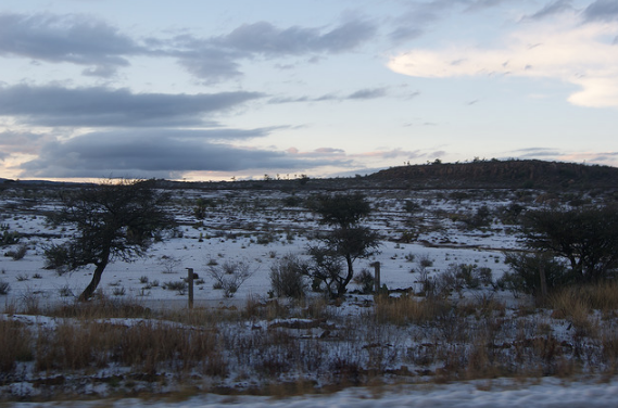 Destinan 428 mil 200 pesos a productores de Calvillo afectados por granizo