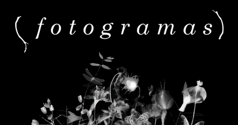 Exhiben en Galería Urbana la exposición Fotogramas