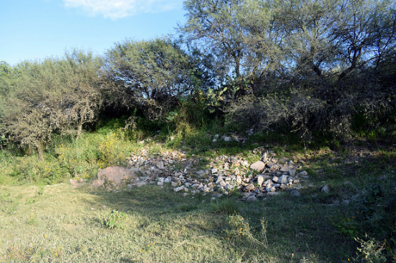 Sancionará Proespa contaminación y tala en bosque de Cobos