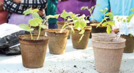 Micro Huertos Familiares en Cumbres III