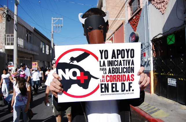 Convocan activistas a marcha antitaurina este domingo