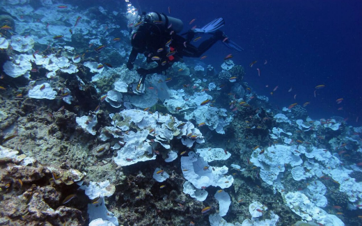 Conocemos menos de los fondos oceánicos que de la superficie de la Luna