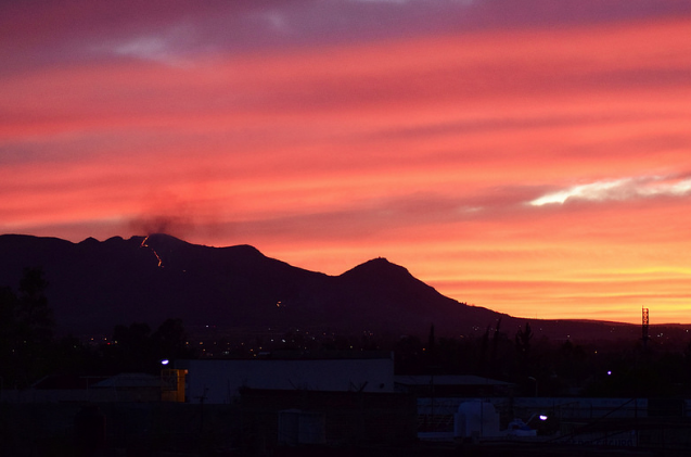 Consume incendio en el Cerro del Muerto cerca de 200 hectáreas