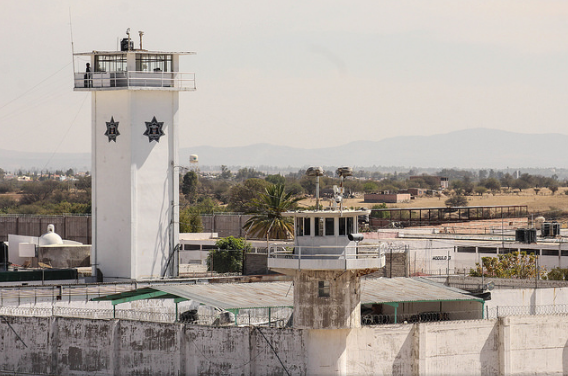 El 60% de las personas en la cárcel está por delitos de drogas