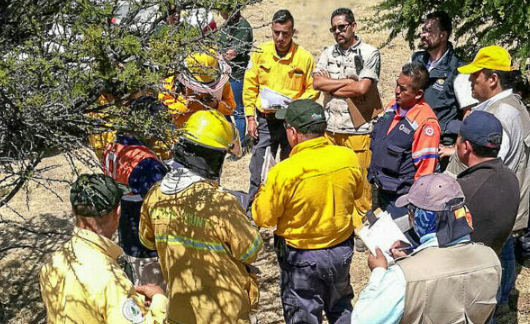 Más de 200 brigadistas controlan el incendio del Cerro del Muerto