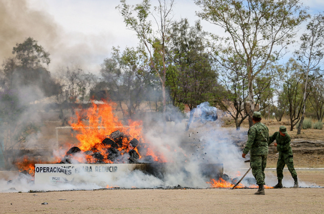 Incineran 1.5 toneladas de droga decomisada en lo que va del 2017