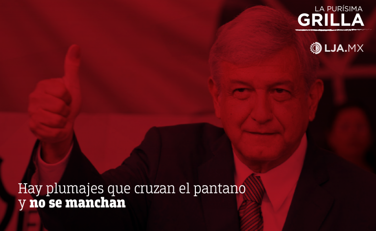 Hay plumajes que cruzan el pantano y no se manchan / La Purísima… Grilla
