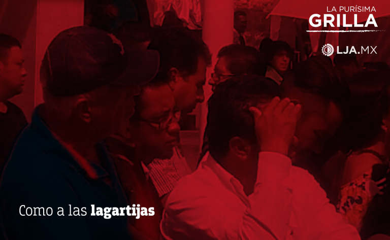 Como a las lagartijas / La Purísima… Grilla