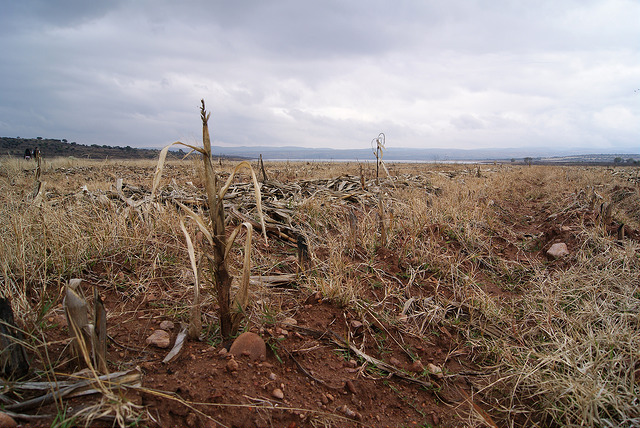 No hay condiciones para declarar desastre natural en el estado