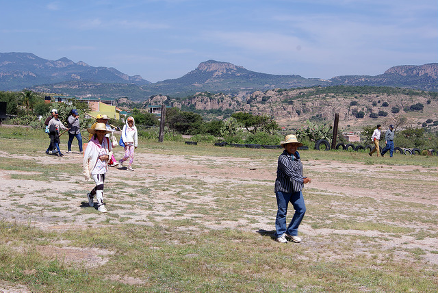 Reconoce Conafor recorte presupuestal para el Programa de Empleo Temporal