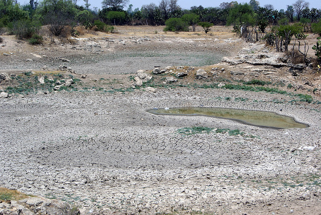 Piden al gobernador declarar estado de emergencia ante falta de lluvias