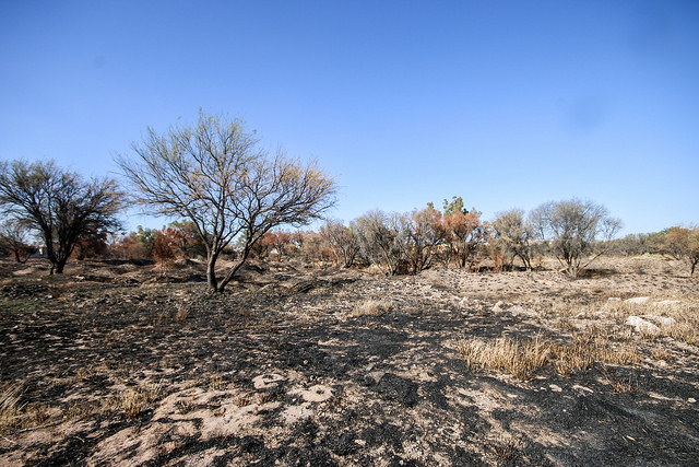 2017 ha roto récords en incendios