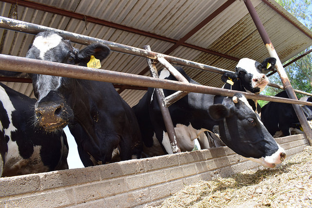 Busca Nueva Alianza crear nueva Ley Estatal de Desarrollo Agropecuario