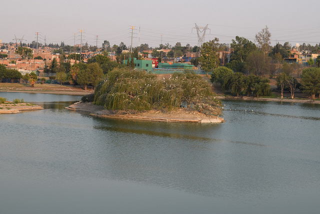 Admite titular de Semadesu mal estado del Centro de Educación Ambiental
