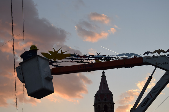 Retiran golondrinas del Corredor Cultural Carranza