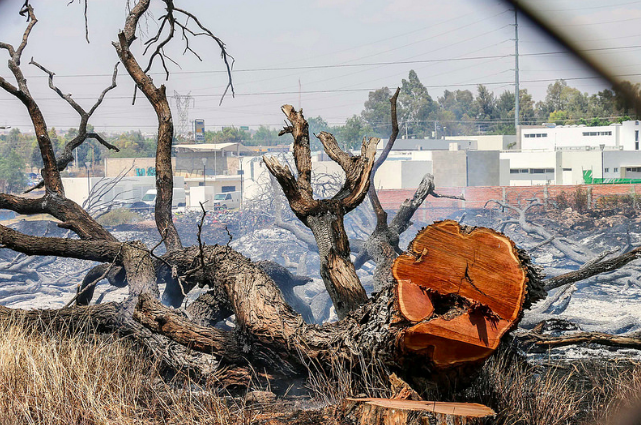 Se incendió terreno donde se construirá la Plaza Outlet