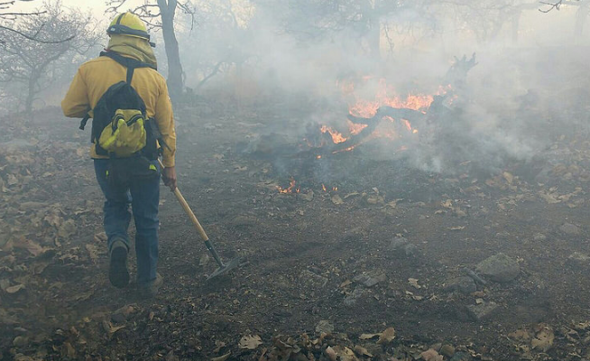 Continúan labores de sofocación de incendio forestal en el Cerro de los Gallos