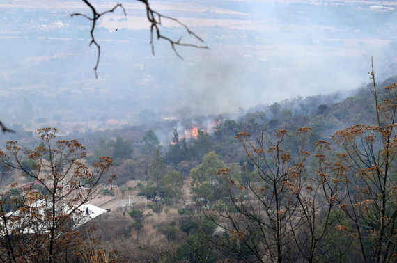 Se han quemado casi tres mil hectáreas en incendios forestales en 2017
