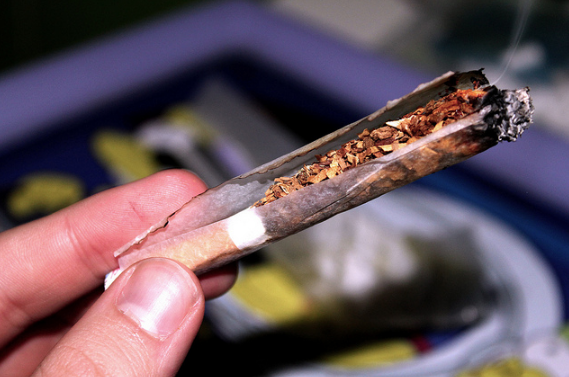 Respaldan diputados locales el uso medicinal de la marihuana