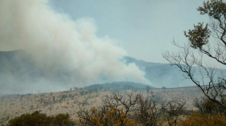 Siniestra incendio 345 hectáreas en la Sierra del Laurel