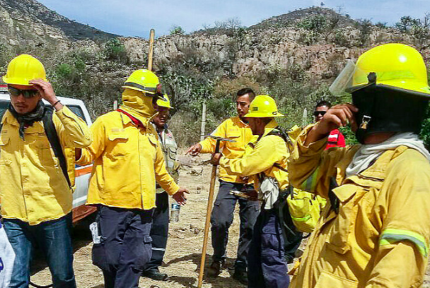 Reconocen la labor del Cuerpo de Bomberos en incendios forestales